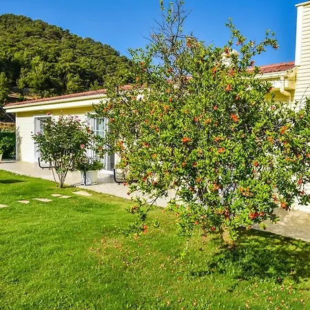빌라 Villa Turiya *
