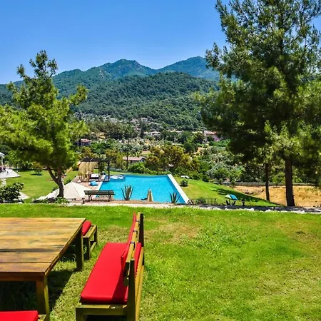 Villa Turiya 빌라